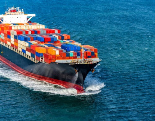 How to Manage a Supply Chain Network when Catastrophe Strikes